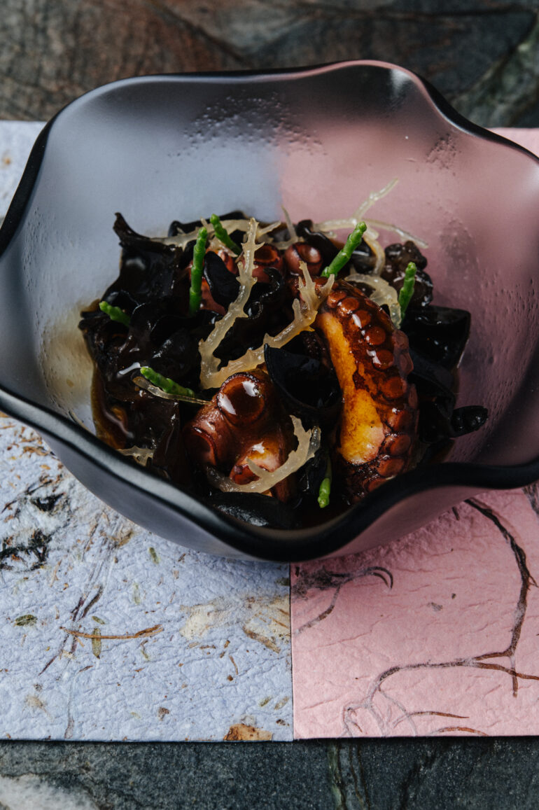PACIFIC OCEAN - Octopus, Tamarind, Ocean Plants from Olluca