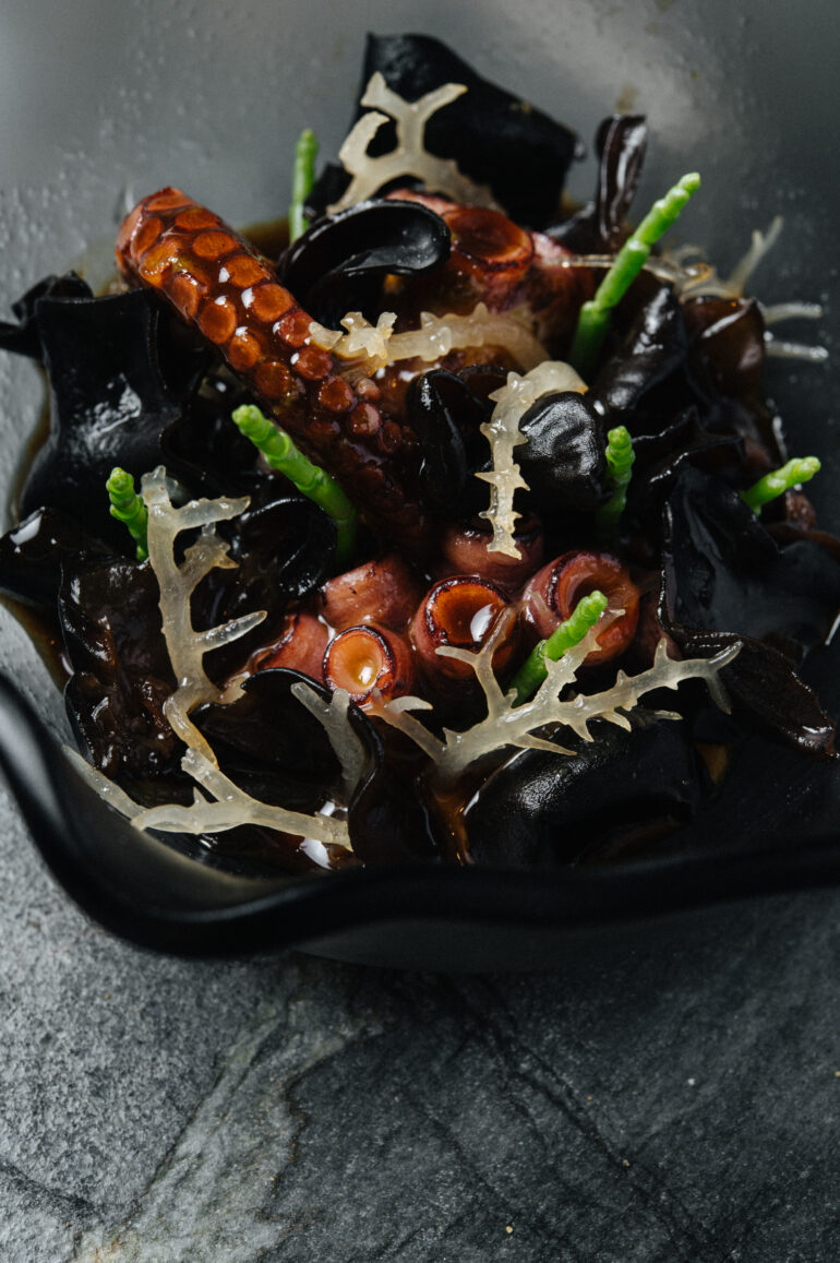 PACIFIC OCEAN - Octopus, Tamarind, Ocean Plants from Olluca