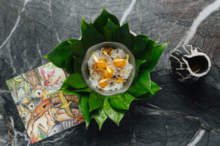 HIGH JUNGLE - Citrus Fruits, Physalis, Caña Mater from Olluca, Moscow, Russia