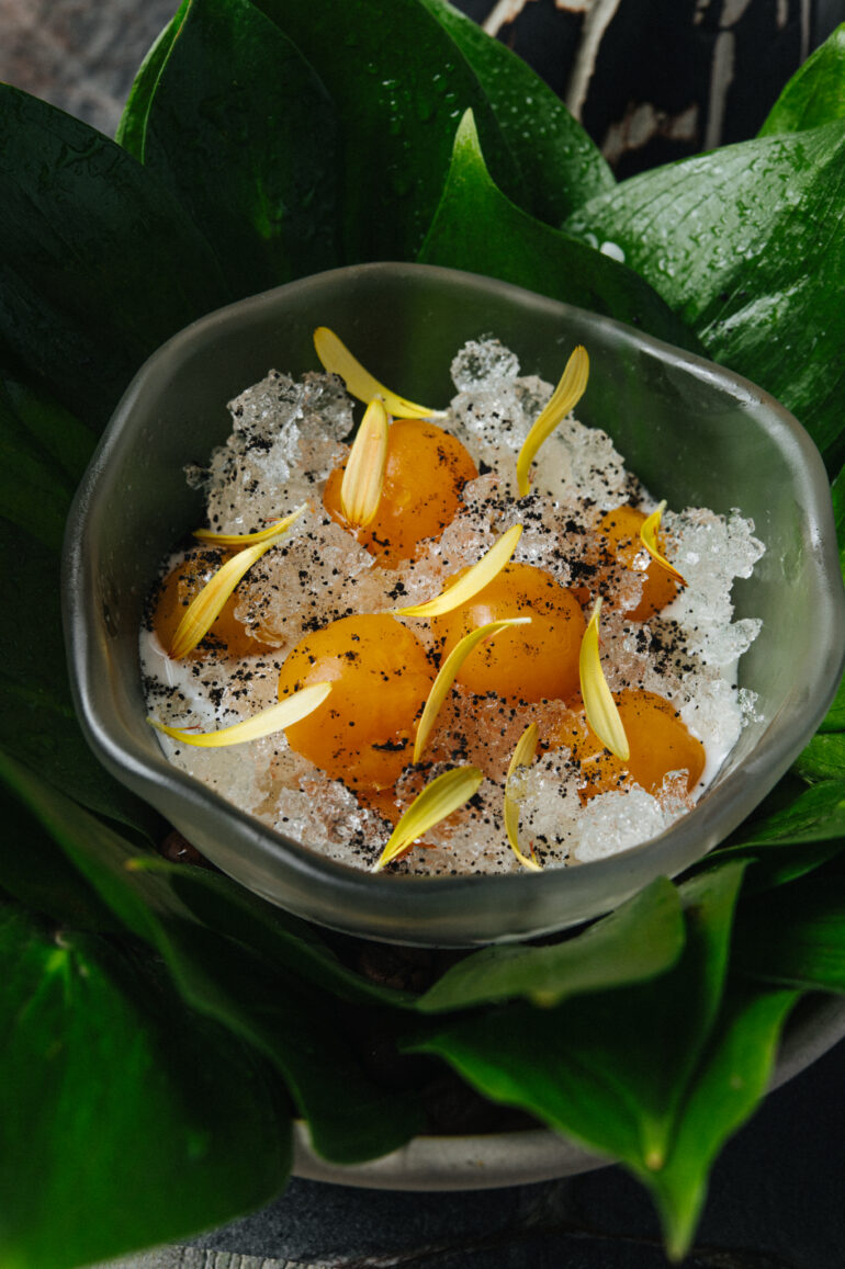 HIGH JUNGLE - Citrus Fruits, Physalis, Caña Mater from Olluca, Moscow, Russia